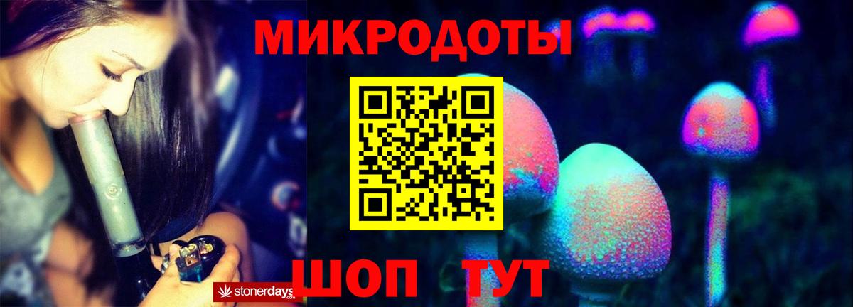Псилоцибиновые грибы мицелий Дмитров